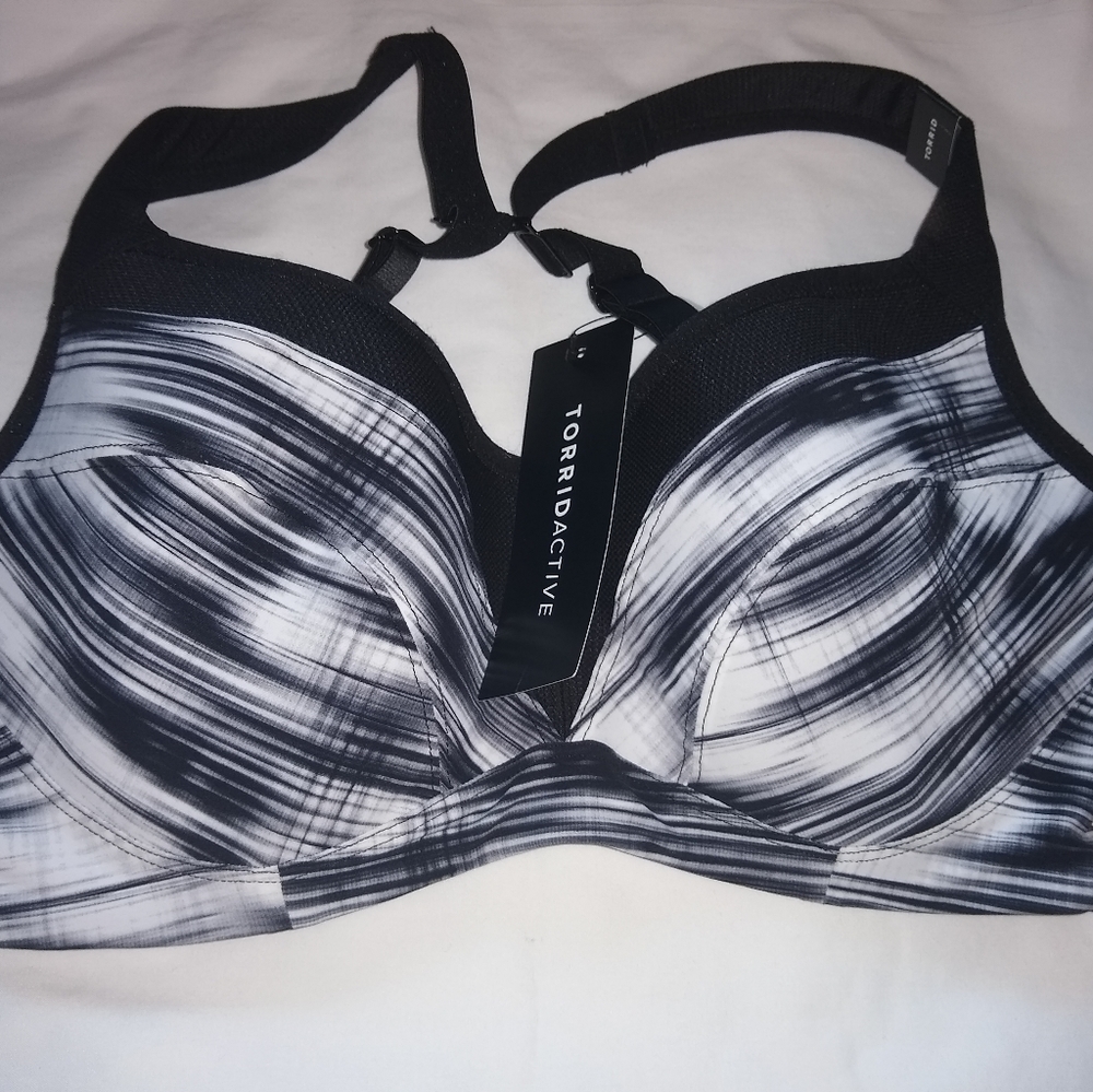 Torrid Sports Bra 36D